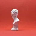 Mô hình tượng bán thân Roza Loewenfeld in 3D nghệ thuật - Thumbnail 4