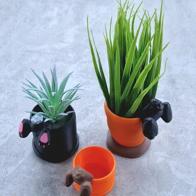 Chậu trồng cây hình Thỏ (Bunny planter)
