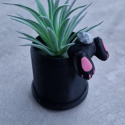Chậu trồng cây hình Thỏ (Bunny planter)