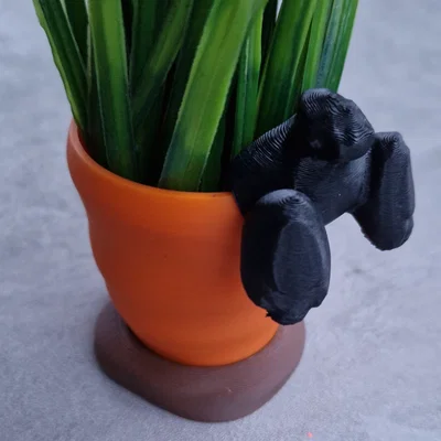 Chậu trồng cây hình Thỏ (Bunny planter)