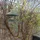 noEntry_751734