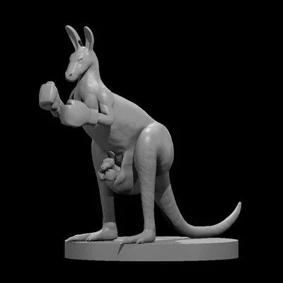 Kangaroo minis - boxing and natural (Chuột túi mini: đấm bốc & tự nhiên)