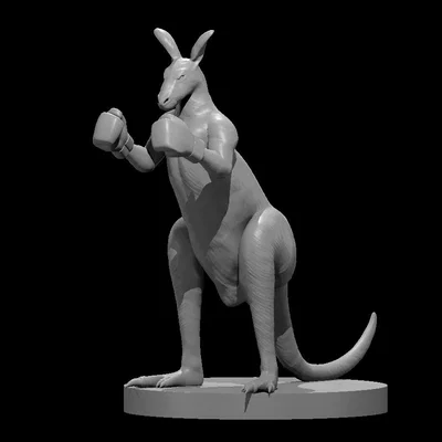 Kangaroo minis - boxing and natural (Chuột túi mini: đấm bốc & tự nhiên)