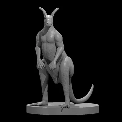 Kangaroo minis - boxing and natural (Chuột túi mini: đấm bốc & tự nhiên)