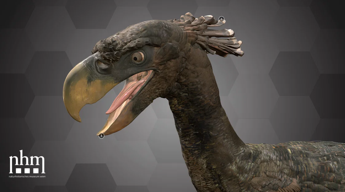 Chim khủng long (Terror bird), Bảo tàng Lịch sử Tự nhiên Vienna - Image 1