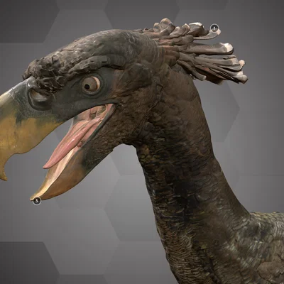 Chim khủng long (Terror bird), Bảo tàng Lịch sử Tự nhiên Vienna