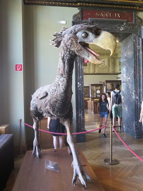 Chim khủng long (Terror bird), Bảo tàng Lịch sử Tự nhiên Vienna - Image 2