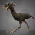 Chim khủng long (Terror bird), Bảo tàng Lịch sử Tự nhiên Vienna - Thumbnail 3
