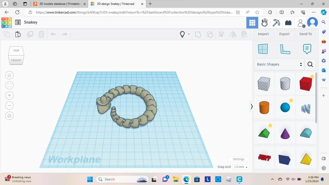 Mô hình rắn khớp nối đội mũ cao bồi độc đáo - File in 3D - Image 1