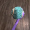 Bambu P1S Sẵn Sàng! Bộ Phóng Banh Tennis Dạng Segmented - Thumbnail 2