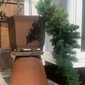 Chậu Bonsai (Bonsai Pot) Dáng Kengai - Thumbnail 1