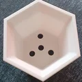 Chậu Bonsai (Bonsai Pot) Dáng Kengai - Thumbnail 5