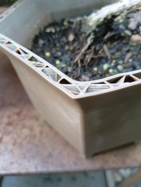Chậu Bonsai (Bonsai Pot) Dáng Kengai - Image 6