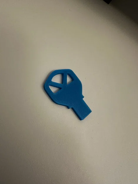 USM Haller Key cho Lock handle (Schlossgriff) - Image 3
