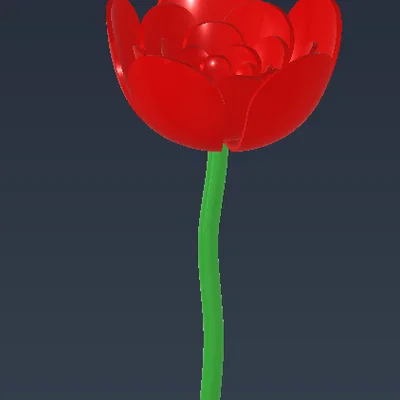 Bông Hồng Hoa (Flower rose)