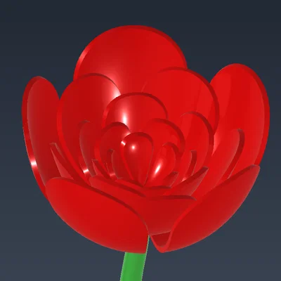 Bông Hồng Hoa (Flower rose)