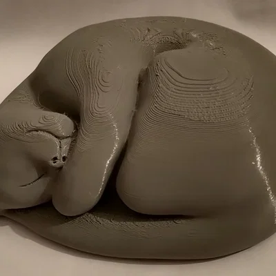 Mô hình chú mèo đang ngủ (Sleepy Cat) - File in 3D đáng yêu