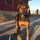 theo_4247015
