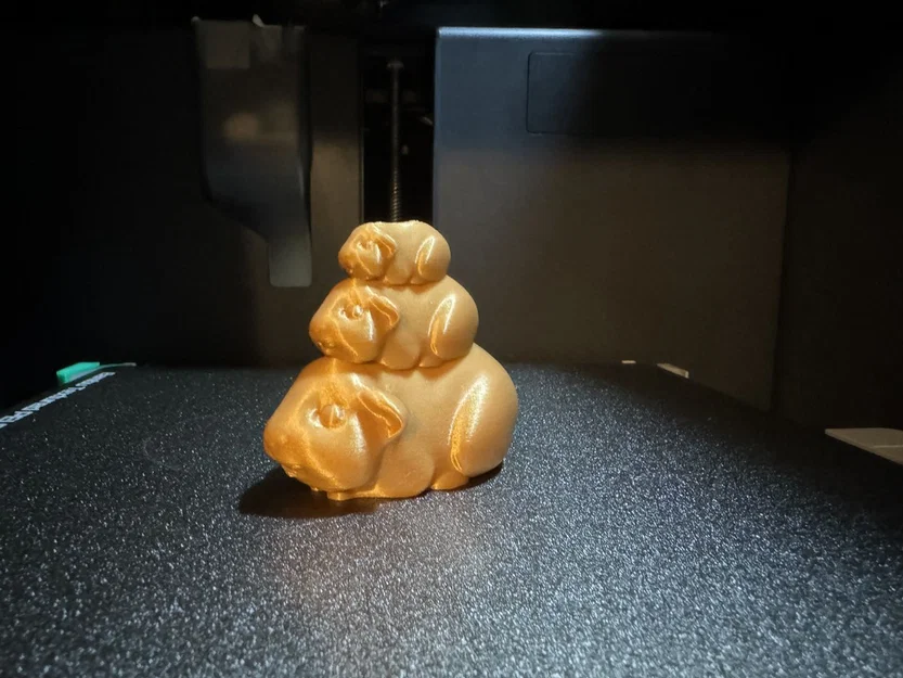 Guinea Pig Stack – Chuột lang chồng tầng - Image 3