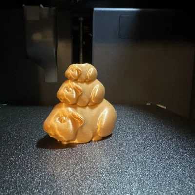 Guinea Pig Stack – Chuột lang chồng tầng
