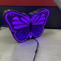 Hộp Đèn Butterfly Light Box - Thumbnail 2