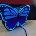 Hộp Đèn Butterfly Light Box - Thumbnail 3