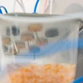 Vít passthrough kín cho Dry Box M6 & M10 - Thumbnail 4