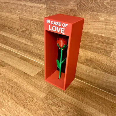 Hộp “In Case Of Emergency” - Love Edition