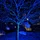 JustinAyson_4125228