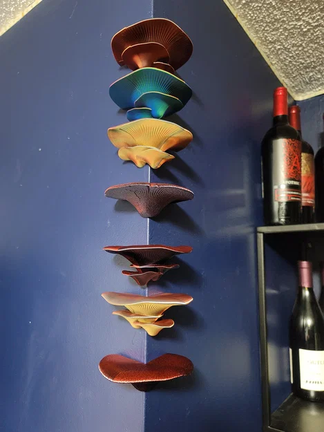 Nam châm Nấm Modular (Modular Mushroom Magnets) - Image 1