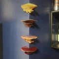 Nam châm Nấm Modular (Modular Mushroom Magnets) - Thumbnail 4