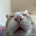 MINECRAFT191_3950711