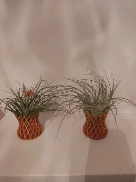 Chậu Lưới In 3D Độc Đáo Cho Cây Không Khí (Air Plant) - Image 1