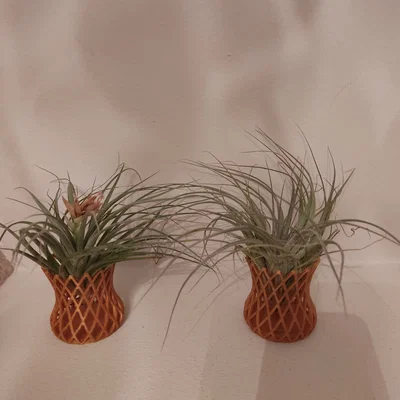 Chậu Lưới In 3D Độc Đáo Cho Cây Không Khí (Air Plant)