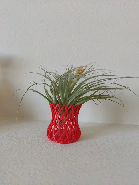 Chậu Lưới In 3D Độc Đáo Cho Cây Không Khí (Air Plant) - Image 2