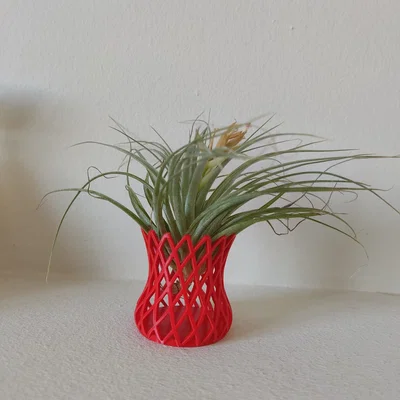 Chậu Lưới In 3D Độc Đáo Cho Cây Không Khí (Air Plant)