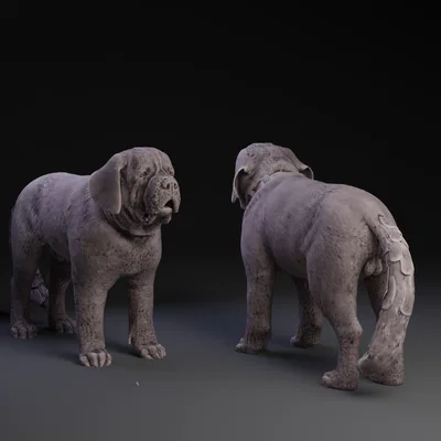 Mô hình 3D chú chó Saint Bernard chi tiết để trang trí