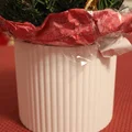 Chậu bọc chậu hoa tối giản (Cache-pot / Übertopf) - Thumbnail 1