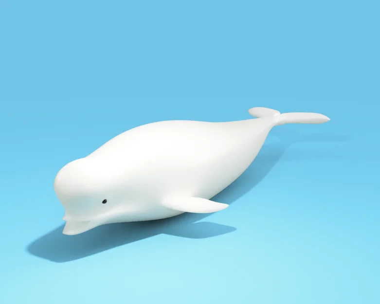 Mô hình cá voi Beluga (Beluga bathtub toy) in 3D dễ thương - Image 1