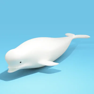 Mô hình cá voi Beluga (Beluga bathtub toy) in 3D dễ thương