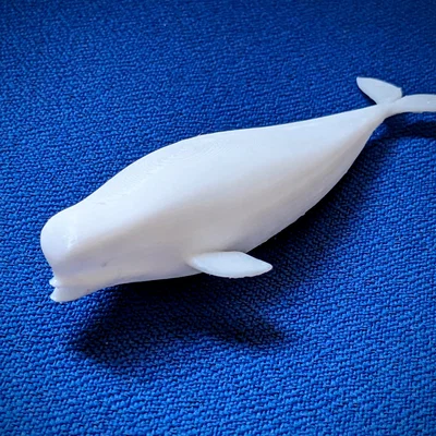 Mô hình cá voi Beluga (Beluga bathtub toy) in 3D dễ thương