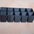 Khay ươm hạt giống mini 5x2 - Giải pháp nhỏ gọn cho vườn tại gia - Thumbnail 2