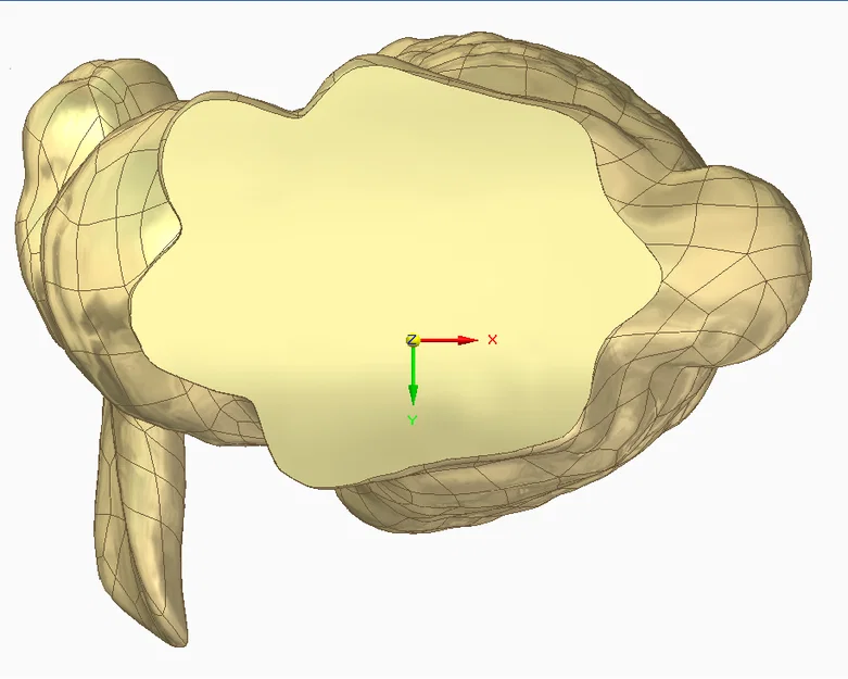 The Stanford Bunny NuFlatfoot - Image 6