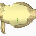 The Stanford Bunny NuFlatfoot - Thumbnail 6