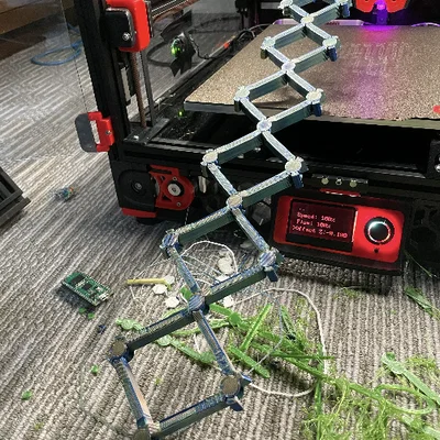 Mô hình rắn kéo giãn Wide Scissor Snake in 3D độc đáo