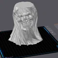 Cô Dâu Đầu Lâu cho Vase Mode - Thumbnail 2
