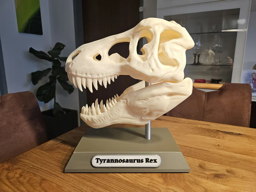 Đế đầu T-Rex (T - Rex Kopf Basis) - Image 1
