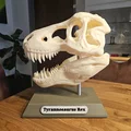 Đế đầu T-Rex (T - Rex Kopf Basis) - Thumbnail 1