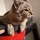 Justin_3081488