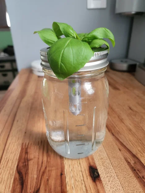 Bộ Nắp Mason Jar Giâm Cành (Mason Jar Plant Clippings Starter) - Image 1